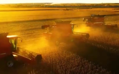 穀物の秋収穫、中国で7600万ヘクタール 86.9％を達成