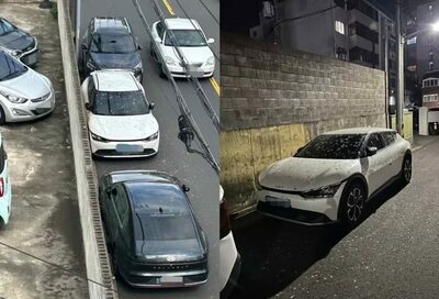 「たった2日でこのありさま」…韓国・高齢女性の餌やりが招いた「車がフンで覆われた」衝撃の住宅街