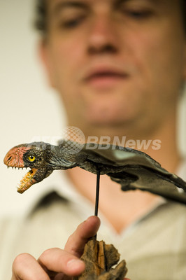 プテロサウルスの翼の構造に関する研究を発表 ブラジル 写真8枚 ファッション ニュースならmode Press Powered By Afpbb News プテロサウルスの翼の構造に関する研究を発表 ブラジル 写真8枚 ファッション ニュースならmode Press Powered By Afpbb News