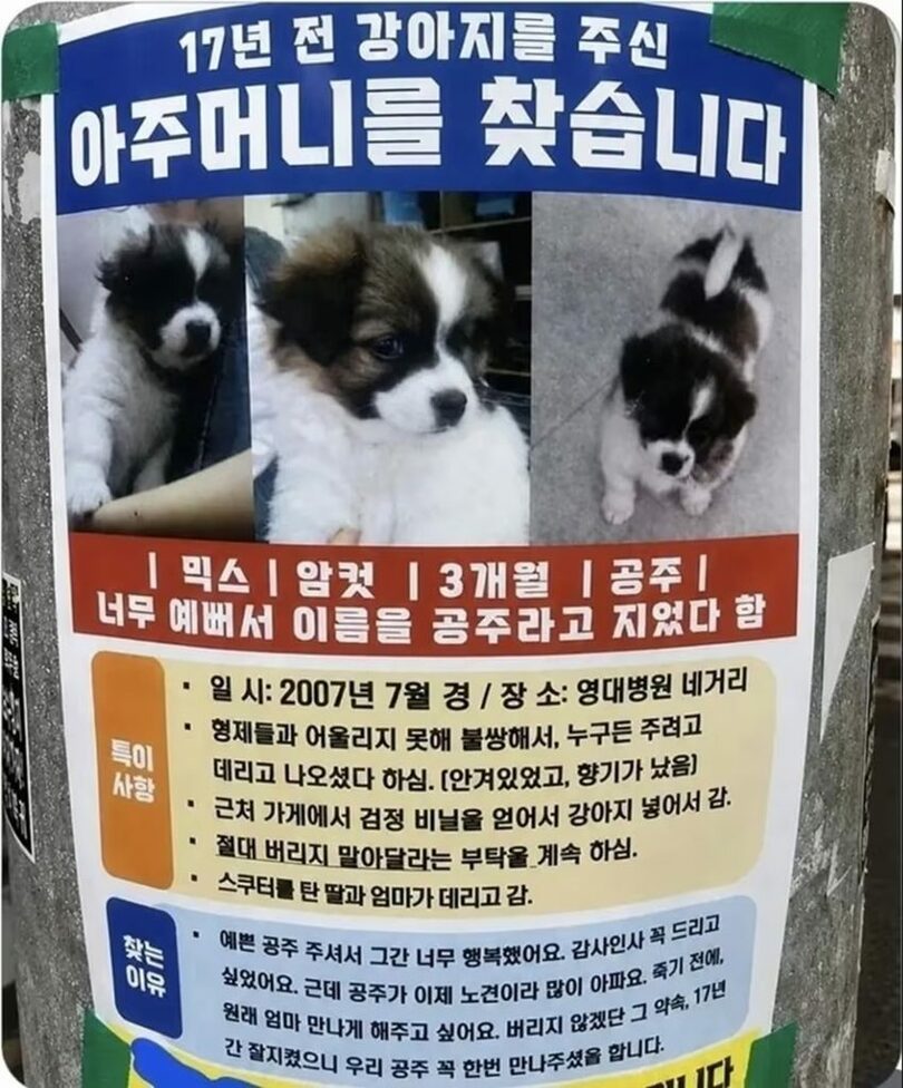 オンラインコミュニティ(c)news1