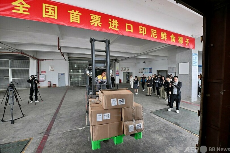 中国 インドネシアから生鮮ココナツを初輸入