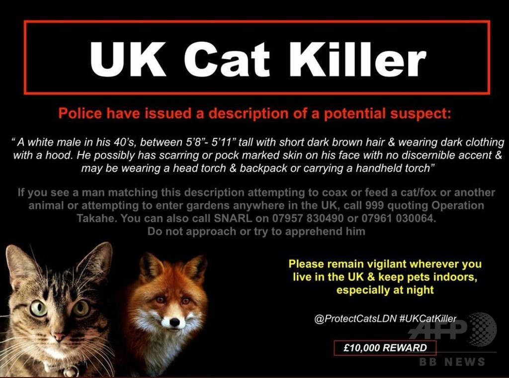 ロンドンの「猫切り裂き魔」 2年で400匹が犠牲に いまだ逮捕できず ロンドンの「猫切り裂き魔」 2年で400匹が犠牲に いまだ逮捕できず