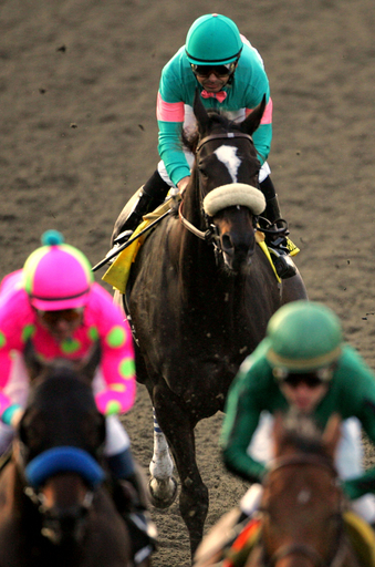 ゼニヤッタが14連勝でブリーダーズカップ・クラシック制覇 写真