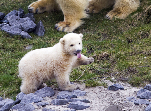 img_9ea1c83fcb75f3fa0024f70f36