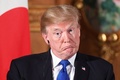東京・元赤坂の迎賓館で、共同記者会見に臨むドナルド・トランプ米大統領（2017年11月6日撮影）。(c)AFP/Jim WATSON