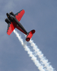 米ウィスコンシン（Wisconsin）州オシュコシュ（Oshkosh）で28日、エクスペリメンタル航空機協会（Experimental Aircraft Association）が主催する毎年恒例の航空ショーが開催された。写真は、1943年製のTwin Beech（2009年7月28日撮影）。(c)AFP/Getty Images/Jonathan Daniel