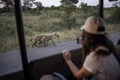 南アフリカ・クルーガー国立公園にある列車ホテル「クルーガー・シャラティ」の宿泊客向けサファリドライブで出会ったハイエナ（2022年4月4日撮影）。(c)Michele Spatari / AFP
