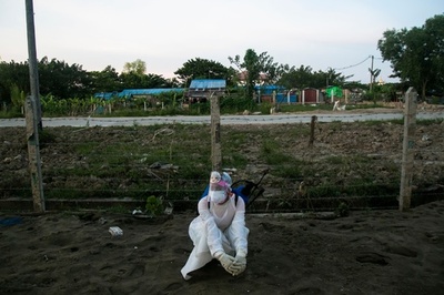コロナ「野放し」の集団免疫戦略は非倫理的 WHOが警告
