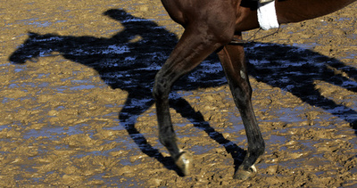 事故で重体の日本人騎手が死去、ニュージーランド競馬