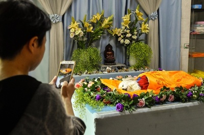 中国のペット死亡数、年間300万匹 専門施設の整備待たれる