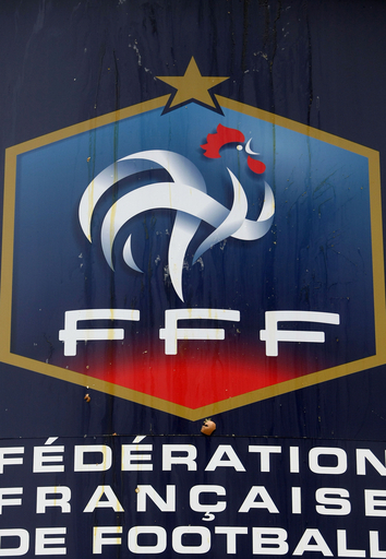 ハンド問題渦中のアンリは再試合を提案、フランス協会は否定的