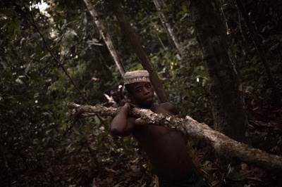 新しい病に弱いピグミー 保護区に隔離しコロナから守る動き 中央アフリカ