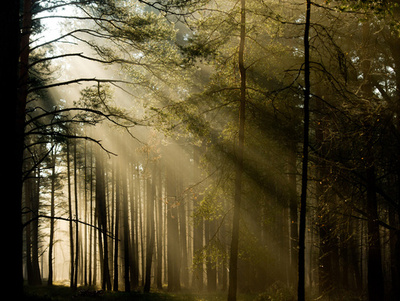 地球工学の温暖化対策で「事態悪化も」 研究