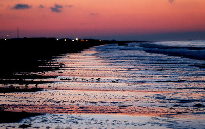 BP原油流出事故、微生物によるメタンガス分解は限定的 研究