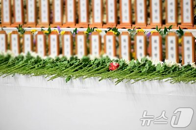 「3歳の息子と妻と最高の瞬間」…韓国機事故で亡くなった起亜タイガース広報チーム長、最後のSNS投稿