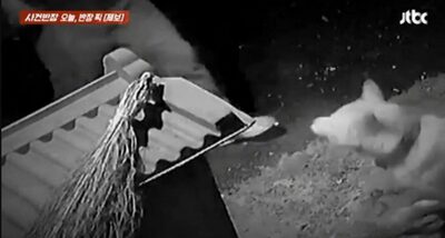 しっぽを振っただけの犬にレンガ投げ、蹴りつけた…韓国・男性の蛮行に非難「何の罪がある？」