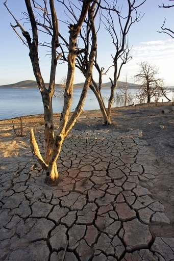 干ばつ深刻化で100万人に飲料水の危機、オーストラリア
