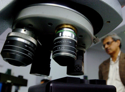 自分の頭部に生殖器刺す扁形動物、相手いない環境で 研究