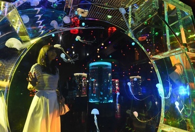 アクアパーク品川がリニューアル、幻想的なクラゲの展示