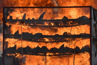 希少種インドサイの角2500本を焼却、反密猟訴える