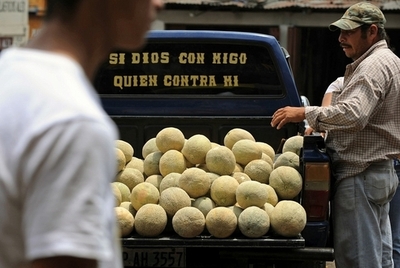 トラックからメロンが落下、持ち帰るドライバーも スイス