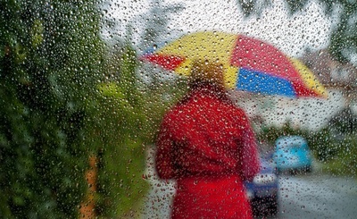 微小突起で水をはじく表面技術、多方面への応用期待 米研究