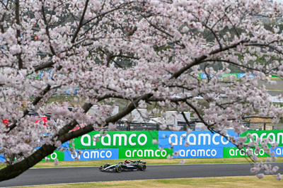 F1 Japanese Grand Prix opens among cherry blossoms