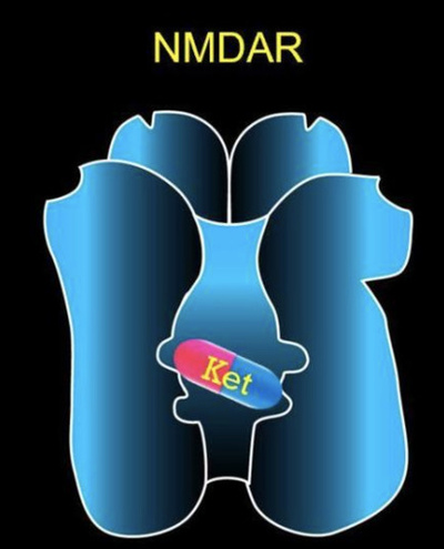浙江大学研究チームによる抗うつ薬研究成果 科学誌「ネイチャー」に掲載