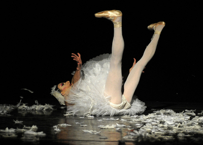 羽が抜け続ける「瀕死の白鳥」