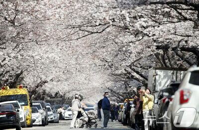 「手をつないで花見2万円」「20代美人限定」…“花見アルバイト”投稿が韓国で炎上