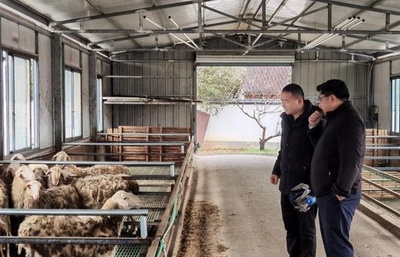 科学技術特派員との強力タッグで臨む羊の飼育 中国浙江省