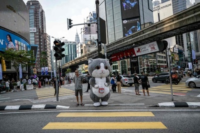 【今日の1枚】青信号を待つ猫？ マレーシア