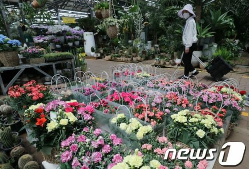 ソウル良才洞の花市場のある売り場(c)news1