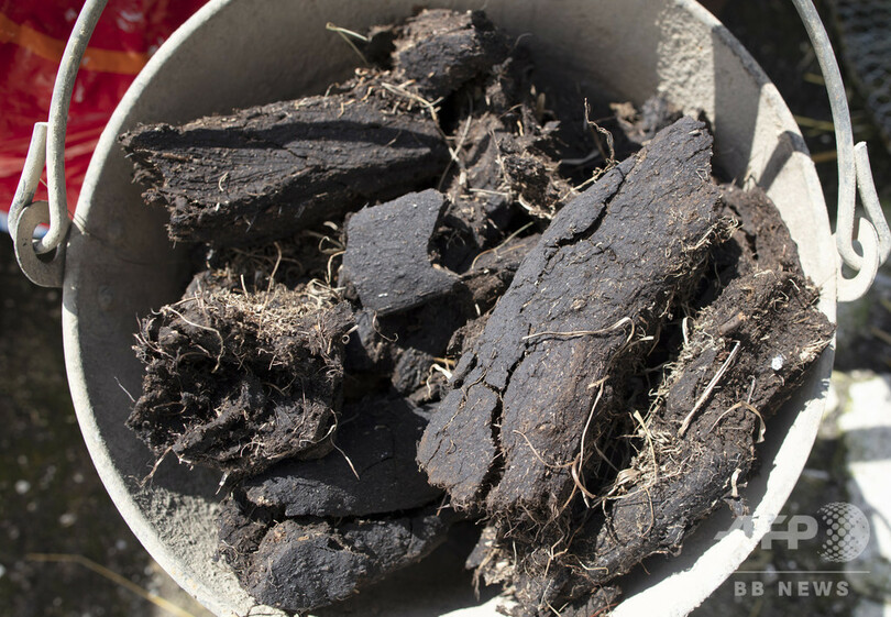 電気も水道もなし 北アイルランドの田舎で暮らす高齢女性、潮流の最先端に？