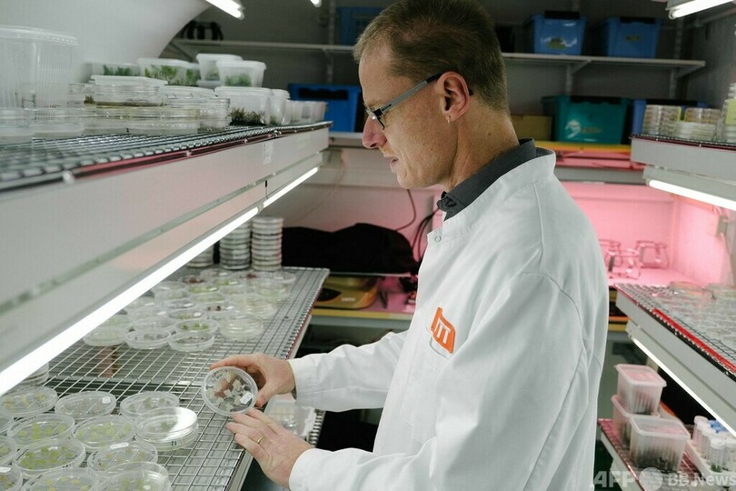 コーヒーも細胞培養で「持続可能」に フィンランドで開発