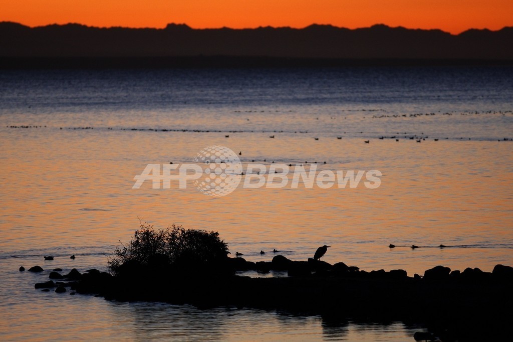 地震の予兆?カリフォルニアの異臭騒ぎ、原因は… 地震の予兆?カリフォルニアの異臭騒ぎ、原因は…