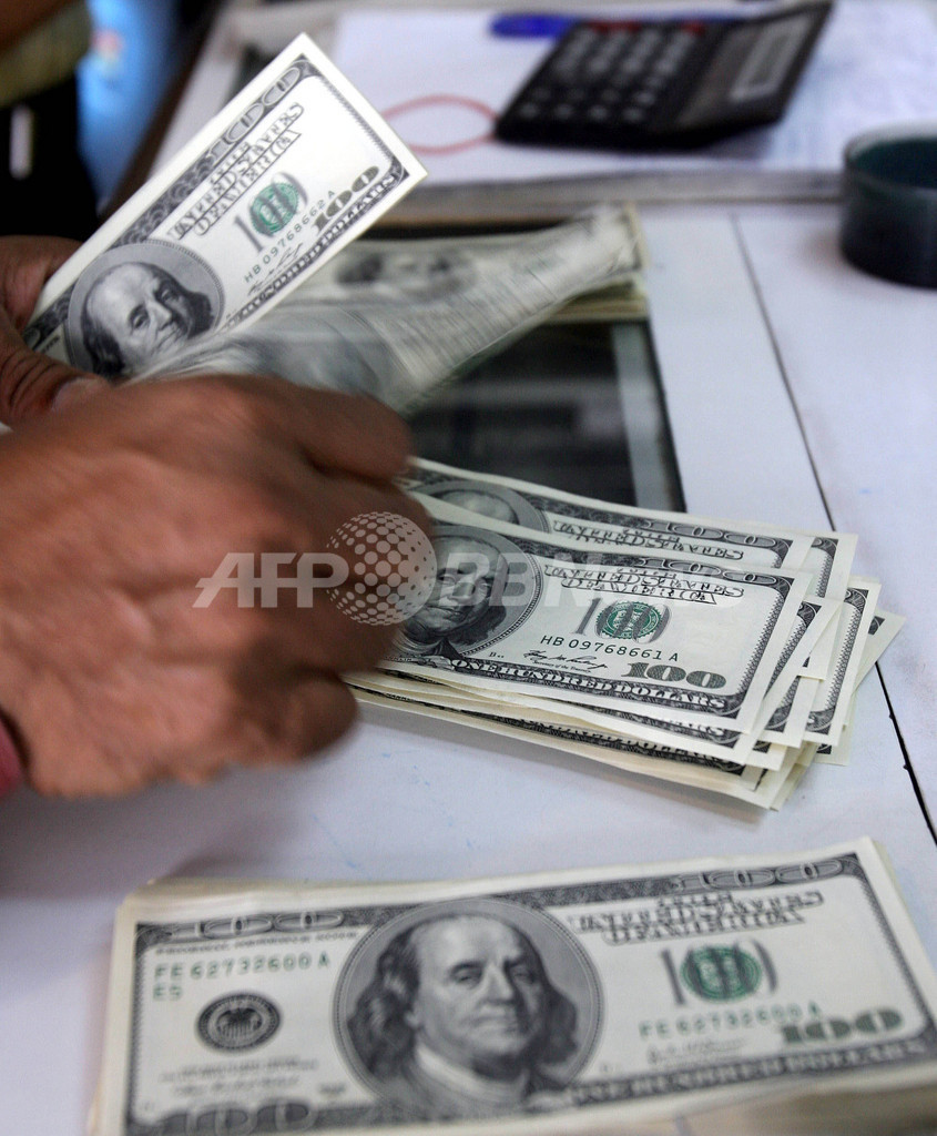 各国の外貨準備でドル離れ進む、代わってユーロが台頭 各国の外貨準備でドル離れ進む、代わってユーロが台頭