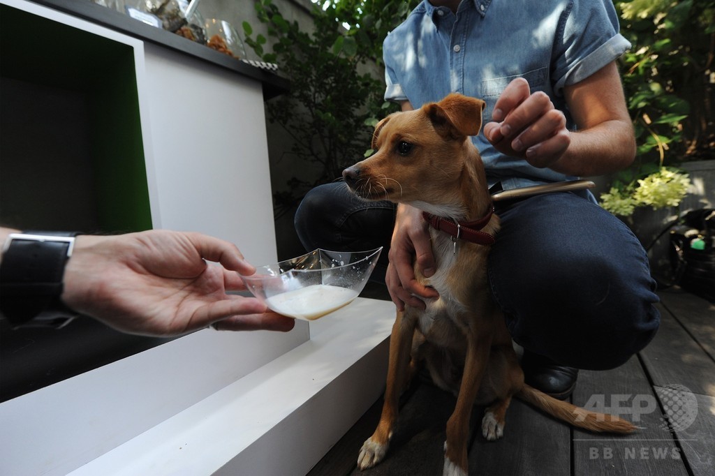 アリアナ・グランデの愛犬も登場！「コーチ」新キャンペーンイベント