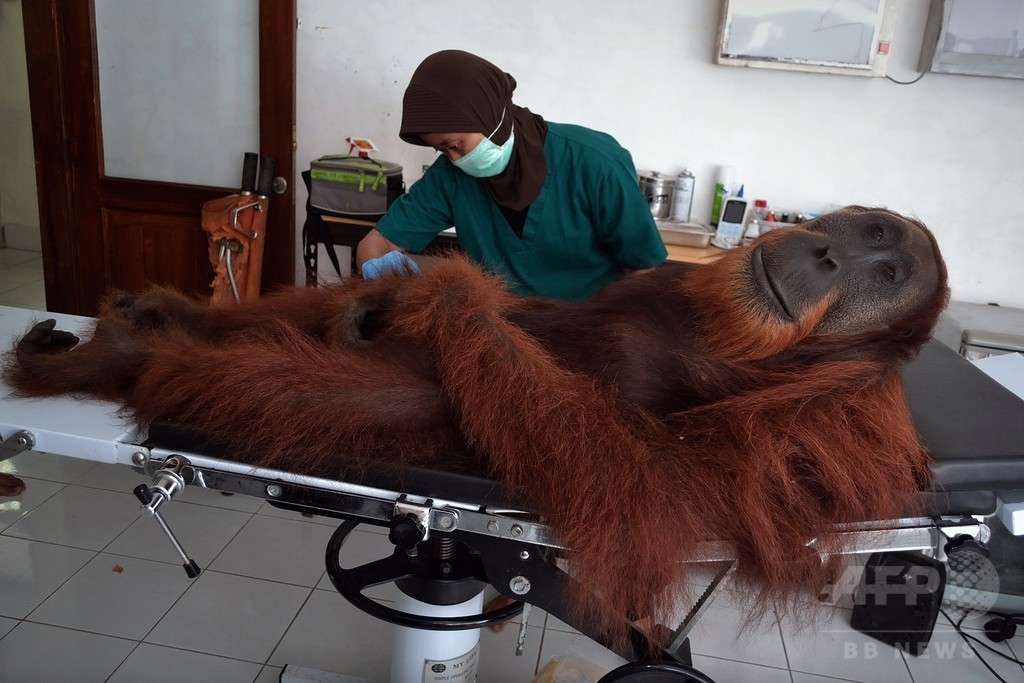 【特集】おもしろ動物写真集～癒やし系から仰天系まで～