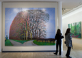 独南部のシュヴェービッシュ・ハル （Schwäbisch Hall）で開催された展覧会に展示された英画家デイヴィッド・ホックニー（David Hockney）の作品（2008年4月26日撮影、資料写真）。(c)AFP/DDP/MICHAEL LATZ
