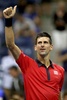 全米オープンテニス、男子シングルス2回戦。勝利を喜ぶノバク・ジョコビッチ（2015年9月2日撮影）。(c)AFP/Getty Images/Matthew Stockman