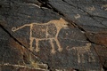 イラク中部ホメイン郊外の丘陵地帯で発見された古代の岩壁画（2016年10月24日撮影）。(c)AFP/ATTA KENARE