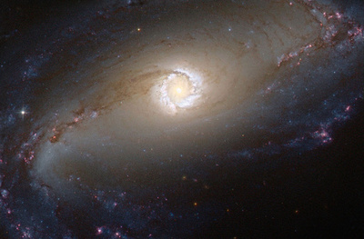 星を生み出すまばゆい光の輪、 棒渦巻銀河「NGC 1097」