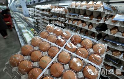 韓国で卵価格が「30個入り790円」超え…政府は緊急輸入を決定