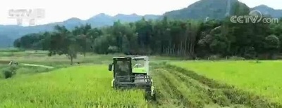 中国 今年の食糧供給も保障あり