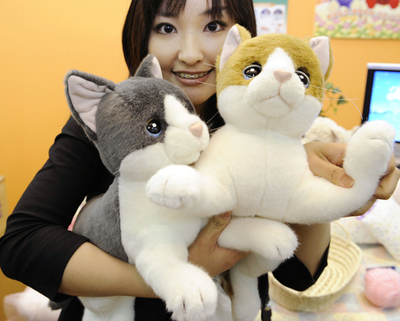 タカラトミー新商品、人の声に反応しておしゃべりするネコ型癒しロボット