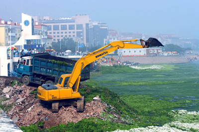 中国、北京五輪のセーリング会場で必死の「藻」除去作業