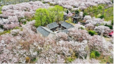 ヘルスケア旅行、「スローな旅行」が大市場をけん引・中国