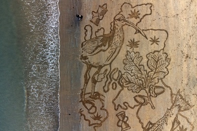 【今日の1枚】波に消される巨大な絵、野生生物の消滅に警鐘