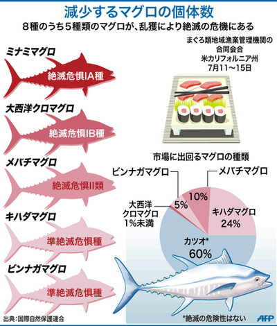 【図解】絶滅の危機にあるマグロ